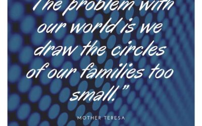 Can you fix the frog?